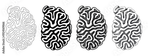 Four abstract brain-like organic shapes illustrated in a variety of artistic styles, including simple line art, solid black silhouette, vintage engraving, and stippling