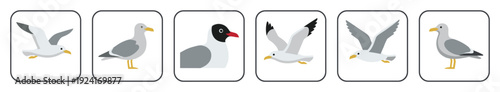 Collection of stylized seagull vector illustrations in various poses, including flying, standing, and a portrait, designed as a set of flat graphic icons