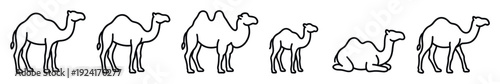 Set of black line art camel illustrations showing different poses and types, including dromedary and Bactrian camels, presented in a simple, minimalist icon style for design elements