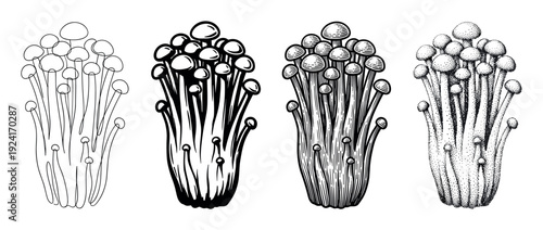 Four black and white Enoki mushroom illustrations showing different artistic techniques including line art, hatching, stippling, and bold ink drawing in a vintage engraved style