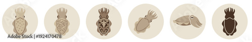 Collection of six cuttlefish illustrations in a minimalist flat style, showcasing various patterns and poses in a muted brown and beige color palette for graphic design
