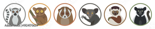 Set of six cute prosimian primate portraits including a lemur, tarsier, loris, and aye-aye, designed as simple round vector icons or character mascots in a flat style
