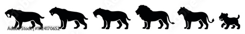 Collection of black feline silhouettes depicting the evolution of big cats from a prehistoric saber-toothed tiger to a modern lion, lioness, and a small cub in a row