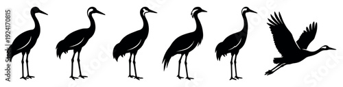 Black crane bird silhouettes in various poses including standing and flying, presented as a graceful collection of elegant graphic icons for wildlife themes