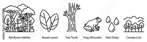 Set of six black line icons depicting rainforest elements including a habitat, broad leaves, a tree trunk, a frog silhouette, rain drops, and a canopy line in a minimalist style