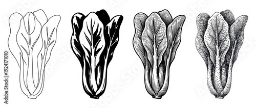 Four bok choy vegetable illustrations in different artistic styles including line art, high contrast, detailed engraving, and stippling, presented as a monochrome set