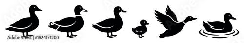 Collection of black duck silhouettes in various poses including standing, swimming, flying, and a small duckling, presented as a minimalist icon set for graphic design