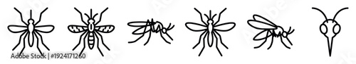 Black and white mosquito line art icons set with six different simple illustrations showing top, side, and close-up views for pest control design