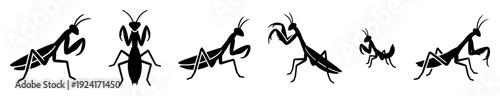 Set of six black praying mantis silhouettes in various dynamic poses, showcasing the insect's form from different angles in a minimalist graphic style