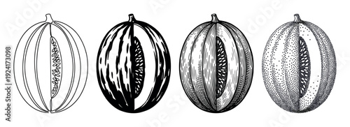 Four black and white cut melon illustrations in a vintage style, showcasing different artistic techniques like line art, engraving, stippling, and high contrast