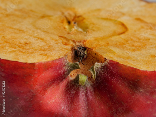 Bild auf Leinwand Extreme macro of an apple core and sliced fruit texture