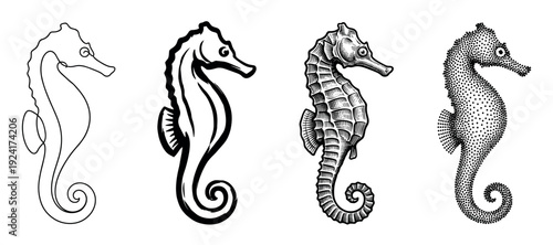 Set of four black seahorse illustrations showcasing different artistic styles from minimalist line art and bold brush strokes to detailed engraving and stippling