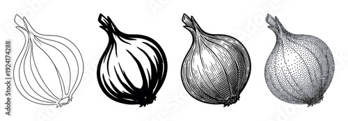 Set of four onion illustrations in different artistic styles including simple line art, bold silhouette, detailed engraving, and textured stippling for a botanical concept