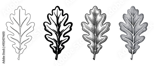Four black and white oak leaf illustrations in a set showing different artistic styles like line art, brushstroke, engraving, and stippling for a graphic design concept