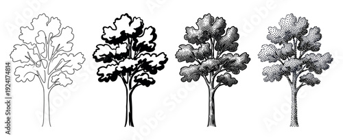 Set of four hand-drawn tree illustrations showcasing different artistic techniques like line art, silhouette, hatching, and stippling for a vintage, engraved look