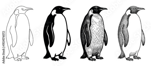 Four emperor penguin illustrations in different artistic styles including minimalist line art, solid silhouette, vintage engraving, and modern stippling, showing a progression of techniques