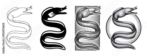 Set of four moray eel illustrations showing different artistic styles including continuous line art, a solid black silhouette, vintage engraving, and dotwork stippling