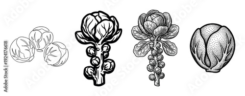 Collection of brussels sprout vegetable illustrations in a vintage, hand-drawn style, featuring line art, bold graphics, detailed engraving, and dotwork techniques