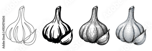 Four garlic bulb illustrations in different artistic styles, including line art, silhouette, engraving, and stippling, showing a collection of graphic design elements for food concepts