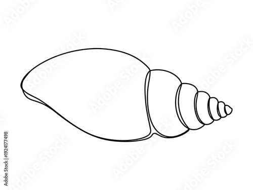 Minimalist black and white line art illustration of a spiral seashell.