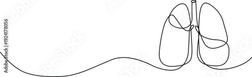 A detailed illustration of the human respiratory system with a trachea and lungs. Vector