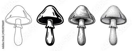 Four stylized black and white mushroom illustrations showcase diverse artistic techniques including continuous line art, bold silhouette, detailed engraving, and intricate stippling