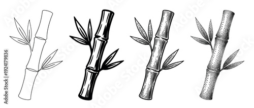 Four distinct black and white bamboo illustrations showcase various artistic styles including outline, solid fill, engraved lines, and stippled dots, presented horizontally