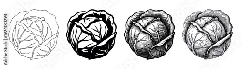 Four distinct black and white illustrated cabbage heads are depicted in various artistic styles, showcasing detailed line art, solid silhouette, classic engraving, and intricate stipple shading