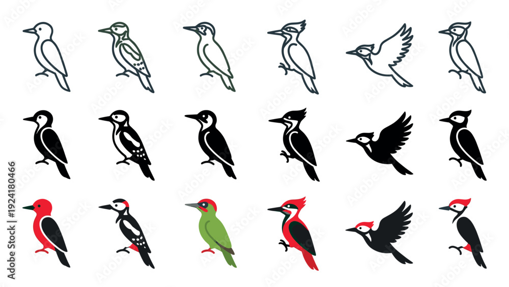Fototapeta premium Various stylized woodpecker bird illustrations in different poses, showcasing a collection of outline, solid black, and vibrant colored graphic designs with distinct avian features