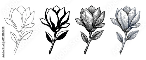 Four distinct black and white magnolia flower illustrations present varied artistic styles, featuring delicate line art, bold silhouette, intricate engraving, and detailed stipple shading