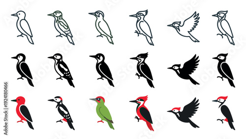 Various stylized woodpecker bird illustrations in different poses, showcasing a collection of outline, solid black, and vibrant colored graphic designs with distinct avian features