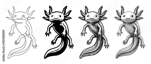 Four distinct black and white axolotl illustrations are presented, showcasing continuous line, solid fill, detailed engraving, and intricate stipple art styles of the fascinating amphibian