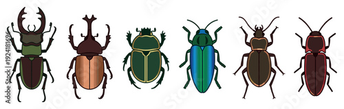 Six diverse colorful stylized beetle illustrations showcase various insect species with distinct shapes, vibrant hues, and intricate details in a clean, graphic design style