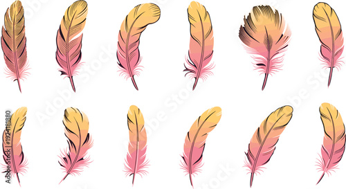 Colorful decorative feathers flat vector set with hand drawn style illustration