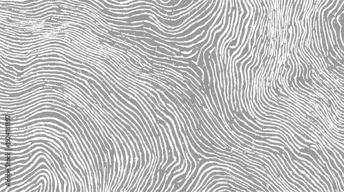 Abstract pattern of wavy white lines on a textured grey background resembling wood grain or fingerprints