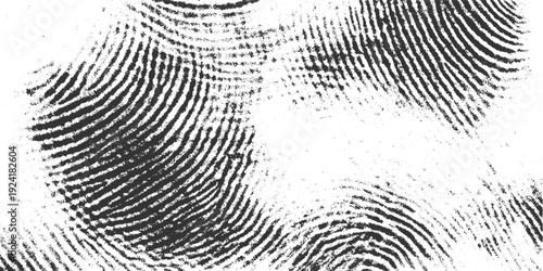Close up macro view of black fingerprint ridges on white background with granular texture thumbprint