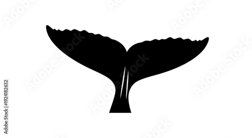 Black silhouette of a whale tail emerging from the water, isolated on a white background.
