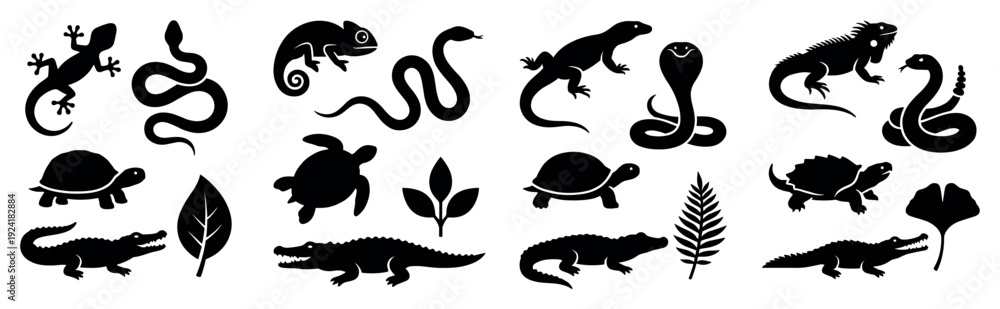 Fototapeta premium Diverse collection of black reptile and plant silhouettes are neatly arranged, featuring various species of snakes, lizards, turtles, and crocodiles, rendered in a clean graphic style
