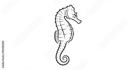 A detailed black and white line art illustration of a seahorse with intricate textures and a curled tail, depicted in profile against a plain background.