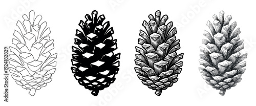 Four distinct black and white pine cone illustrations showcase various artistic styles including continuous line art, solid silhouette, detailed woodcut, and textured stipple art