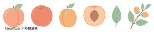 Stylized collection of fresh peaches, apricot, and foliage elements presented in a charming flat design with soft pastel colors, illustrating healthy fruit