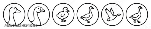 Six minimalist black outline goose and gosling icons are presented in a clean, simple, and modern line art style, showcasing various poses and perspectives within circular frames