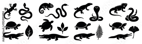 Diverse collection of black reptile and plant silhouettes are neatly arranged, featuring various species of snakes, lizards, turtles, and crocodiles, rendered in a clean graphic style