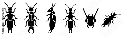 Six black earwig insect icons illustrate various poses and perspectives, showcasing their distinctive pincer-like cerci and segmented bodies in a clean, graphic style