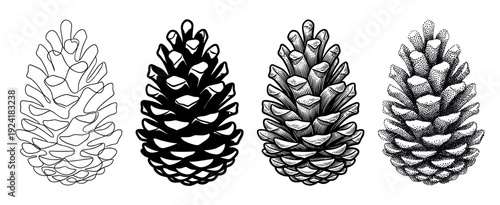Four distinct black and white hand-drawn pine cones are depicted in various artistic styles, including continuous line art, solid silhouette, detailed woodcut, and intricate stippling illustration