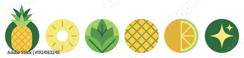 Stylized tropical fruit icons arranged horizontally in a vibrant, fresh, and modern graphic design, featuring pineapples, citrus slices, and leafy elements