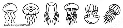 Six distinct black line art jellyfish illustrations showcase various forms of the marine creature with simple, elegant lines and a clean, graphic style