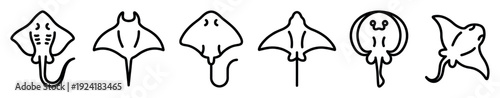 Six distinct black outline ray illustrations showcase a variety of marine life species in a minimalist, clean, and educational graphic style