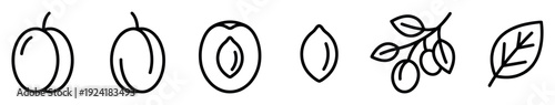 Minimalist black outline plum fruit icon set featuring whole, halved, and pitted plums, along with a leafy branch, presented in a clean, simple line art style