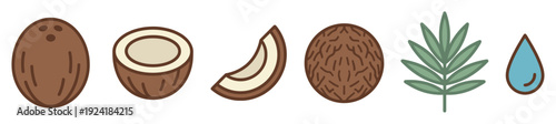 Various stylized coconut elements including whole, halved, and sliced coconuts, a palm leaf, and a water drop are neatly arranged in a clean, illustrative style